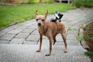 GoPro Hero4 Black Testbericht