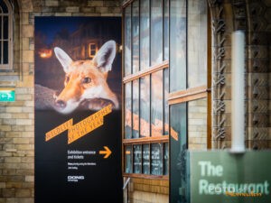Wildlife-photographer-2016-London