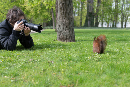 Tierfotografie: 10 einfache Tipps für Einsteiger