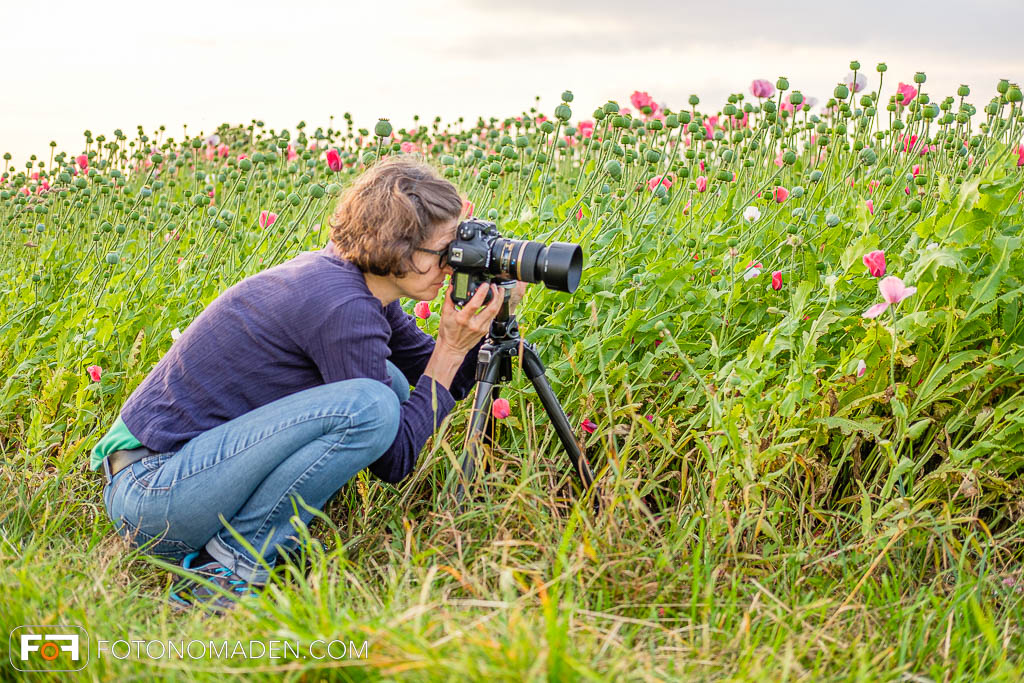 Fotografin mit Stativ in Mohnfeld
