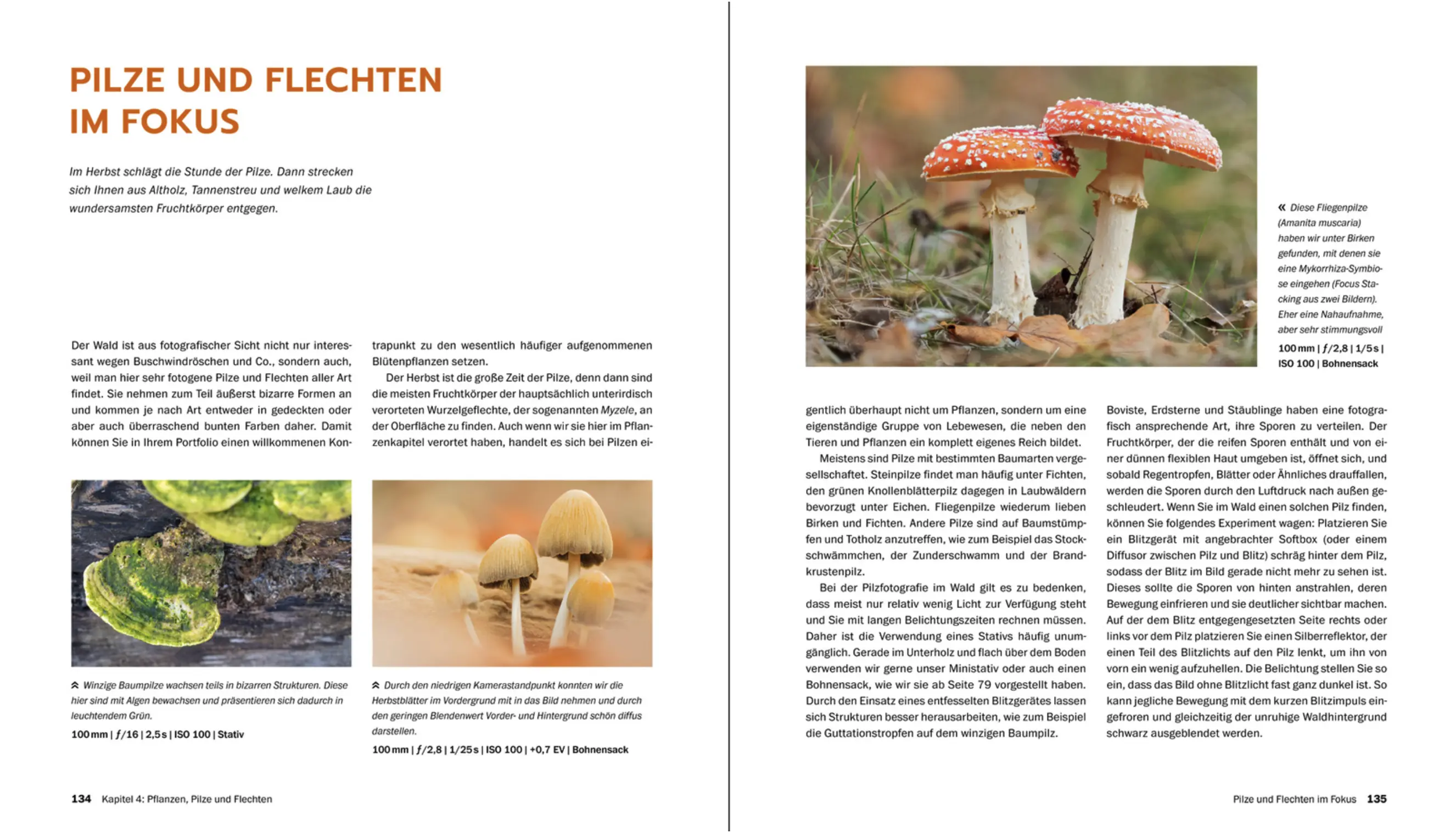 Makrofotografie - die große Fotoschule - Blick ins Buch