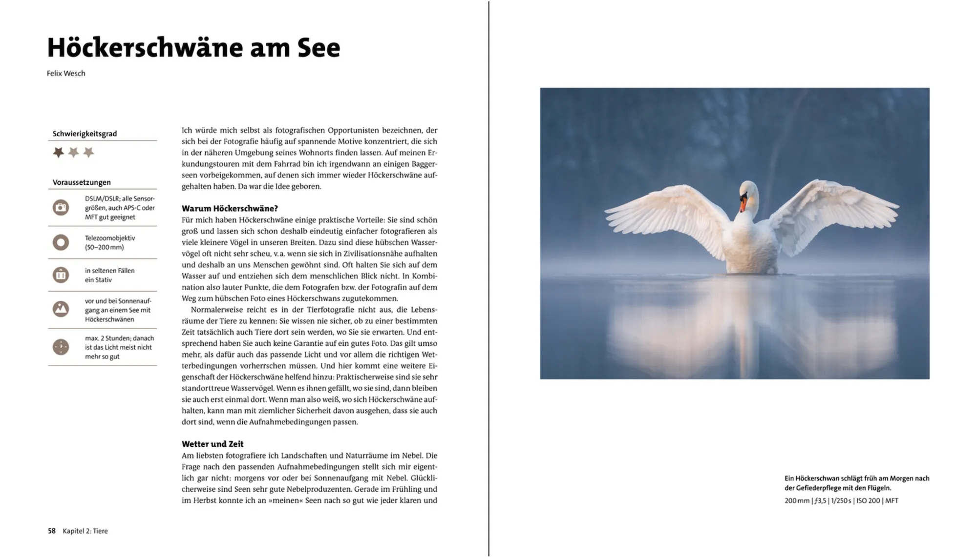 Blick ins Buch - Fotografieren in der Natur 2024