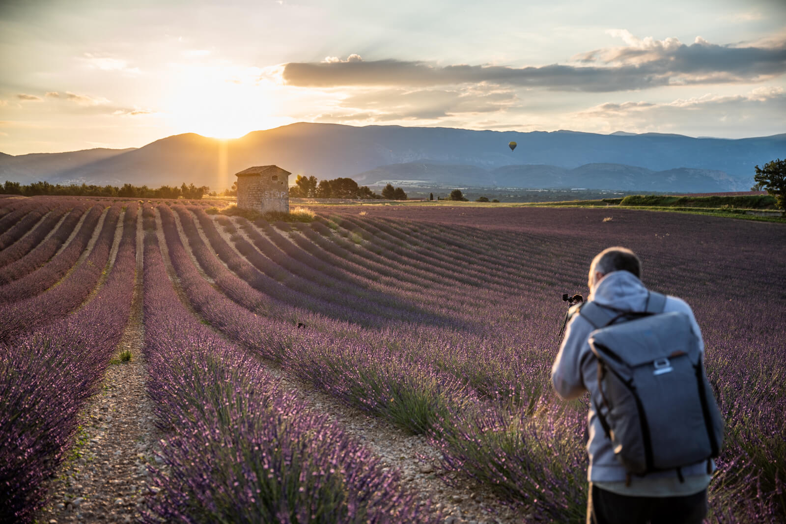 Fotograf in den Lavendelfeldern in der Provence