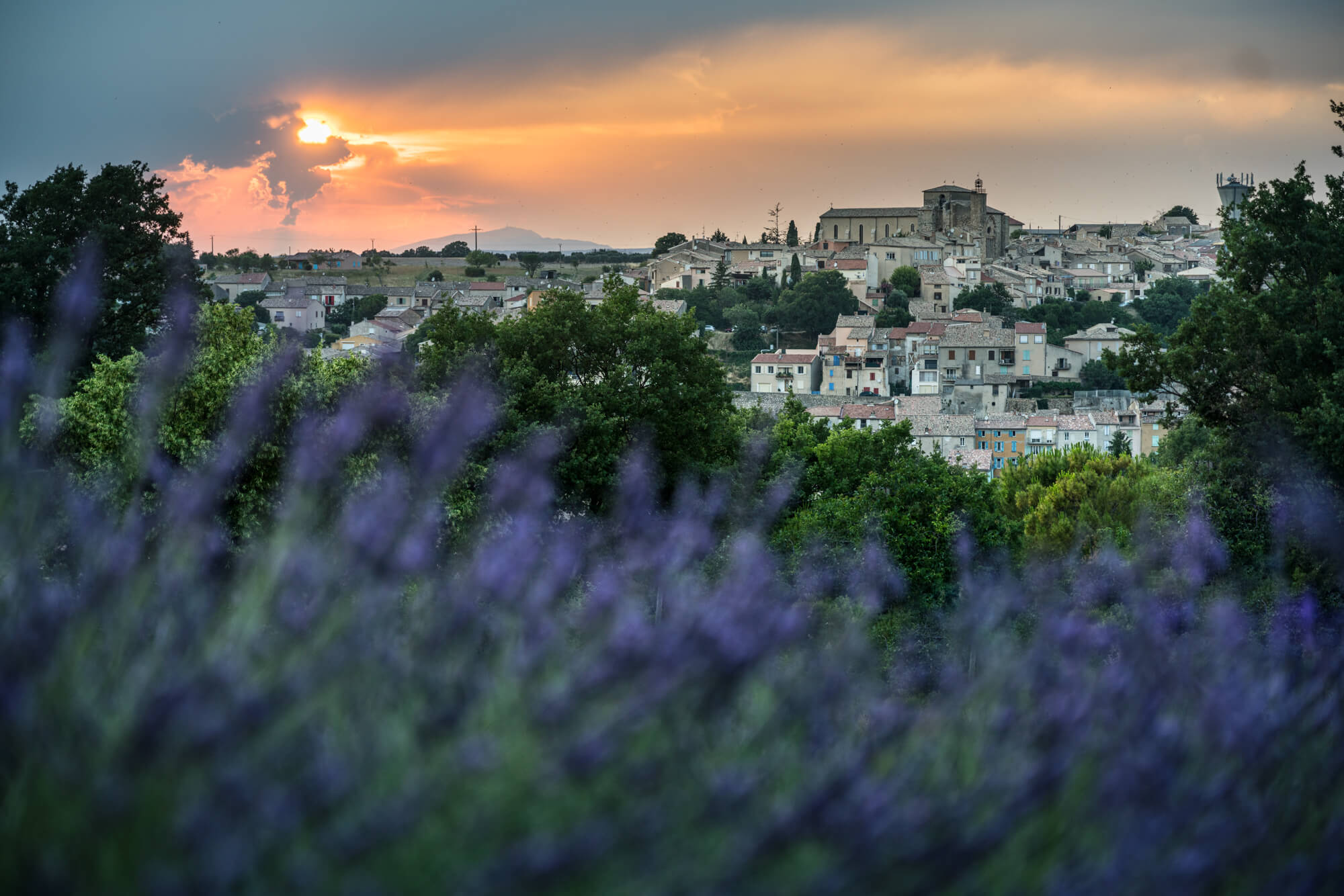 Städtchen in der Provence mit Lavendelfeld
