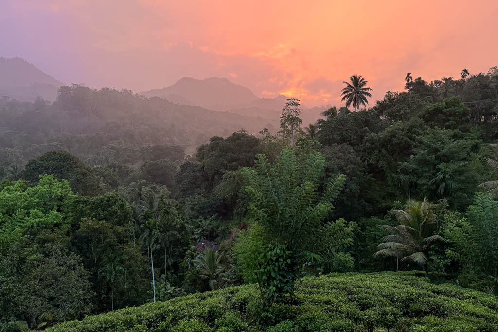Sonnenuntergang in Sinharaja