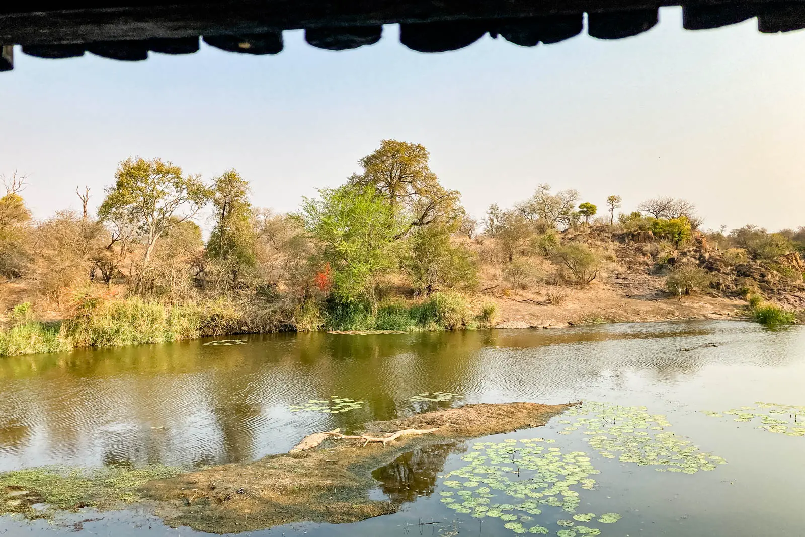 Blick aus dem Bird Hide auf's Wasser