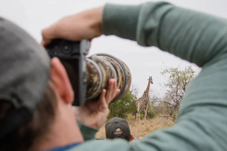 Fotografieren auf Safari im Kruger Nationalpark
