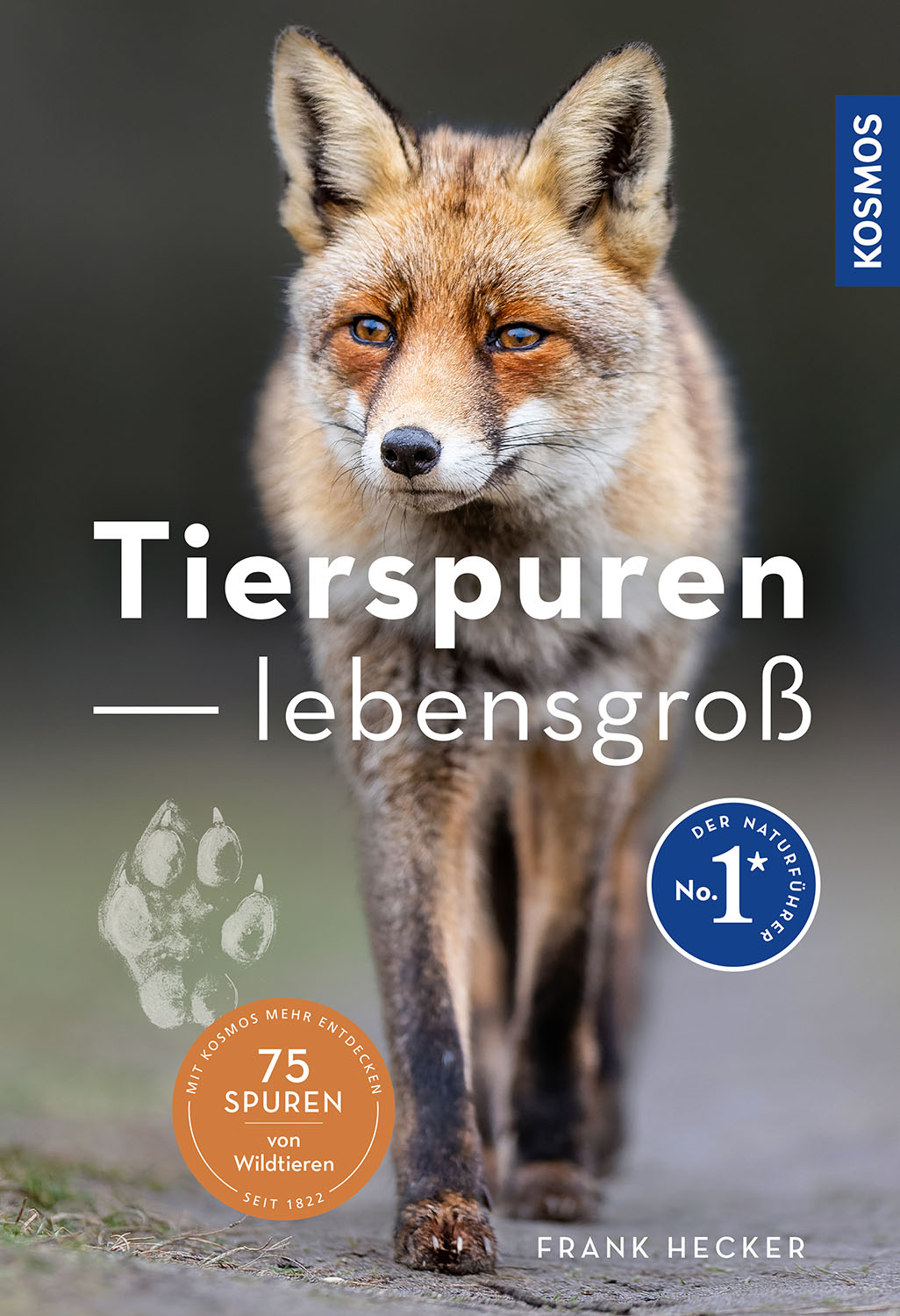 Buch Tierspuren