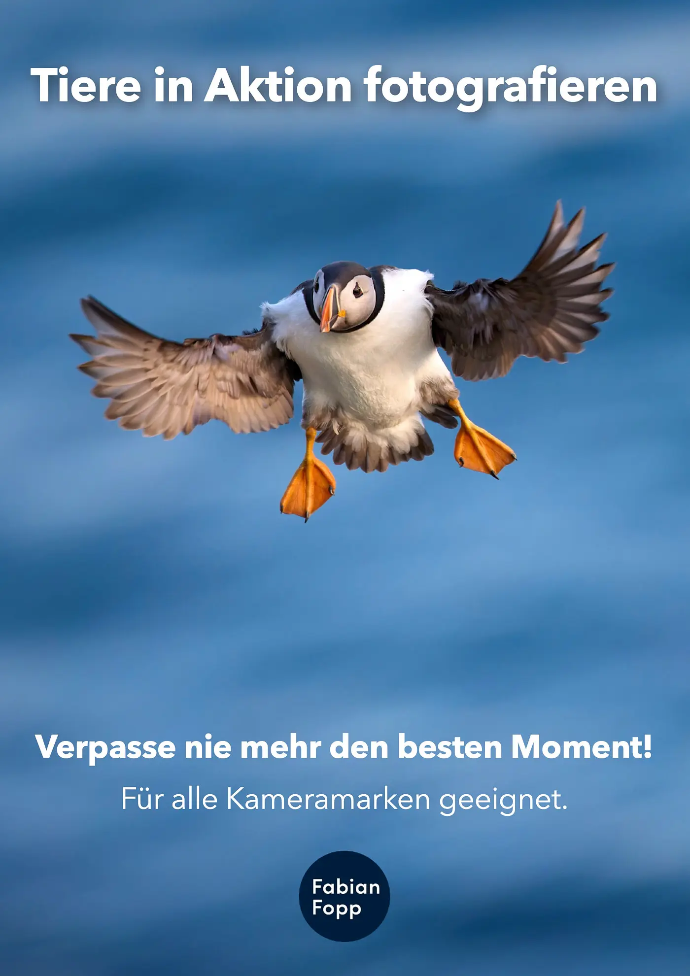 E-Book Tiere in Aktion fotografieren