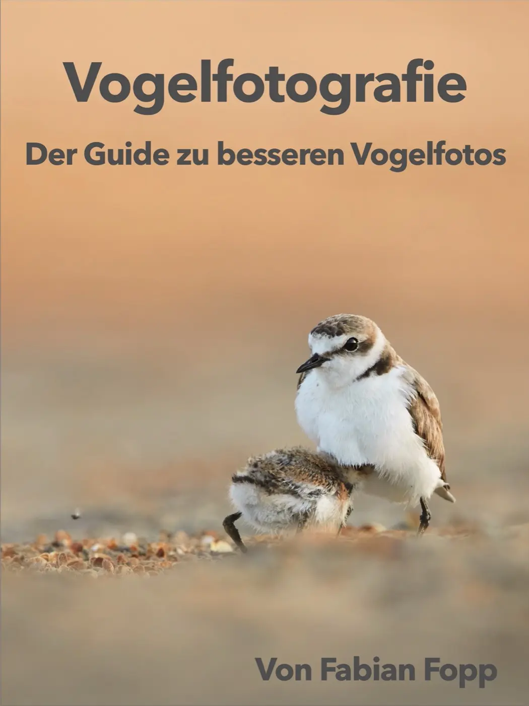 E-Book Vogelfotografie