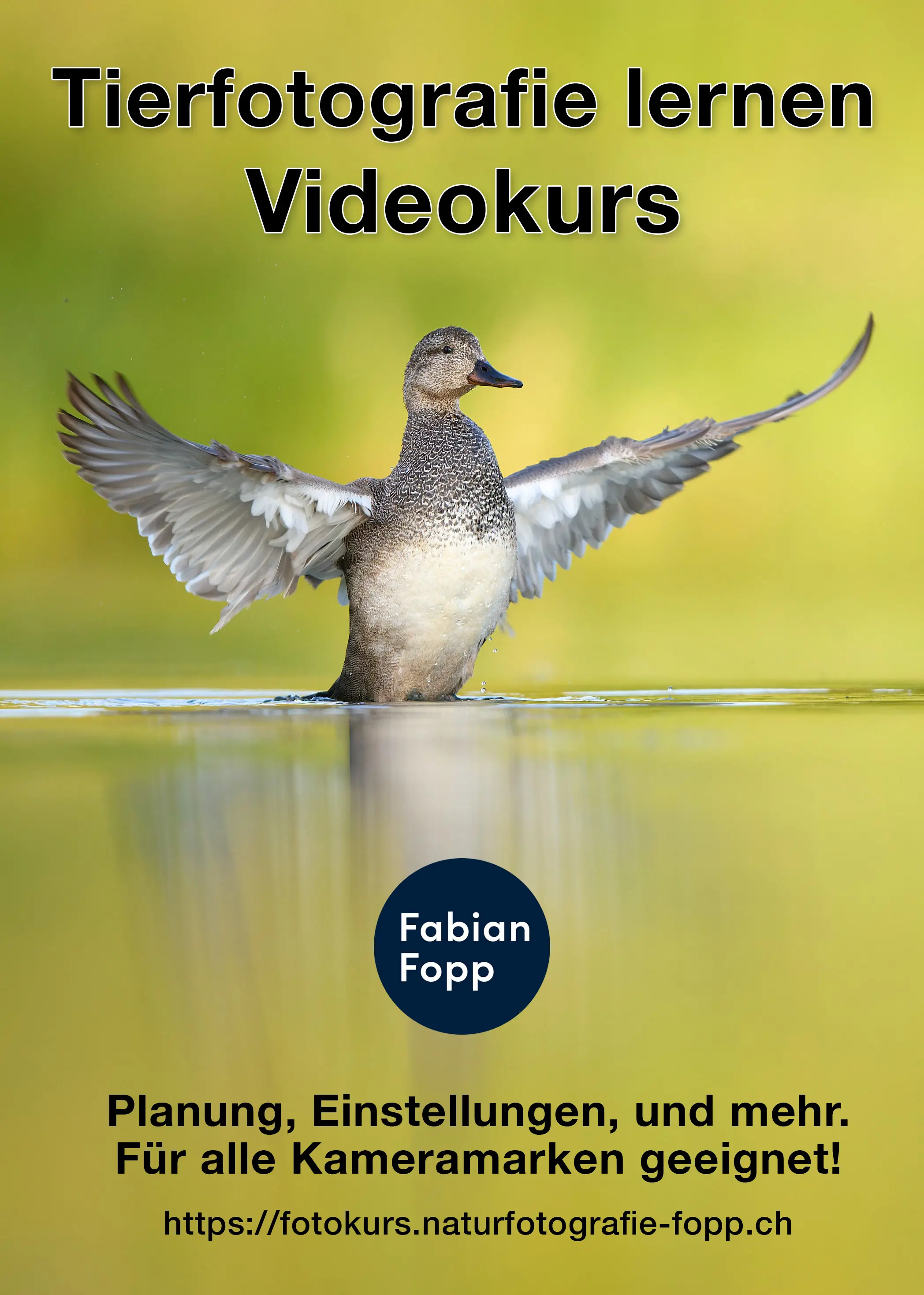 Videokurs Vogelfotografie