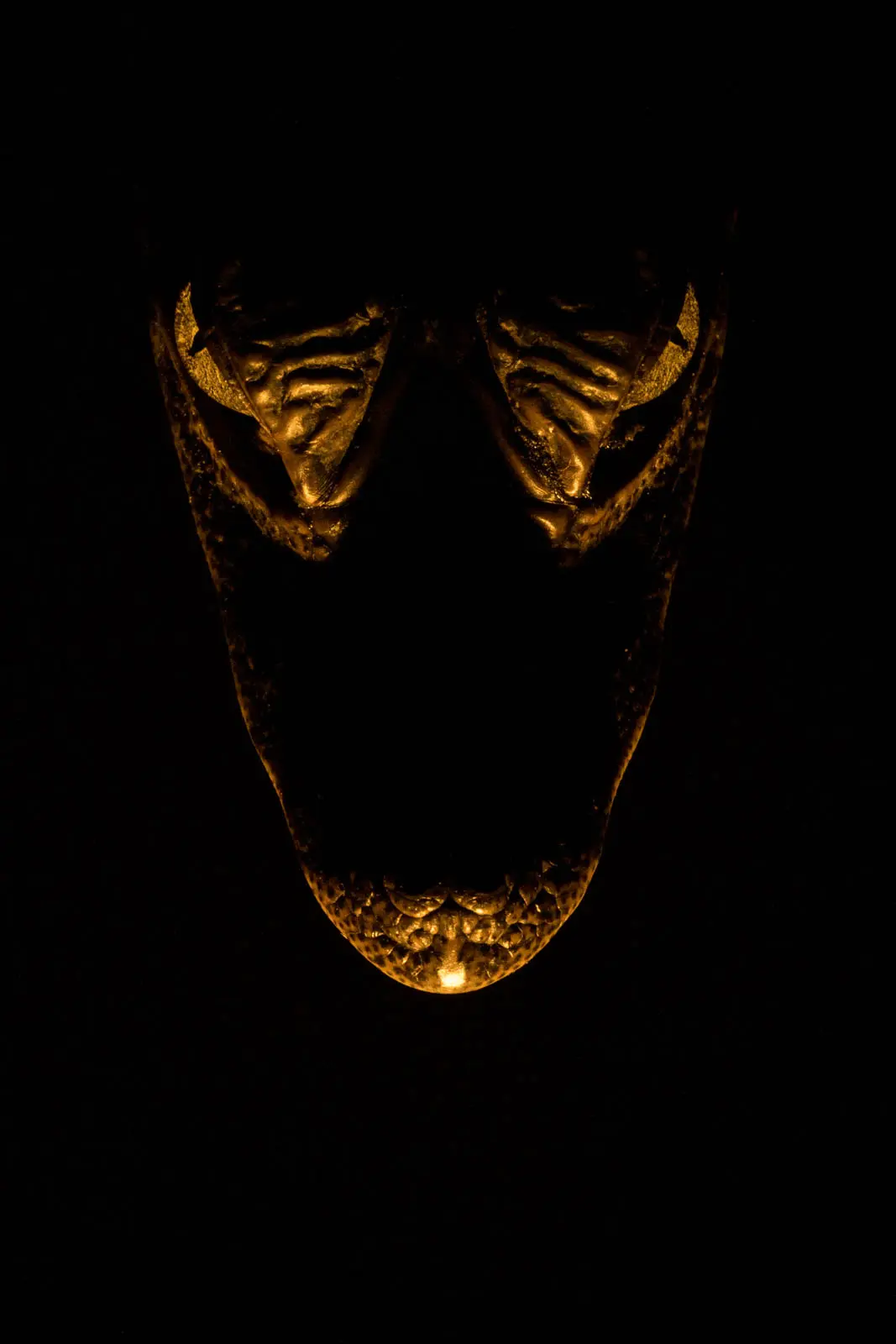 Low Key Reptilienporträt von oben