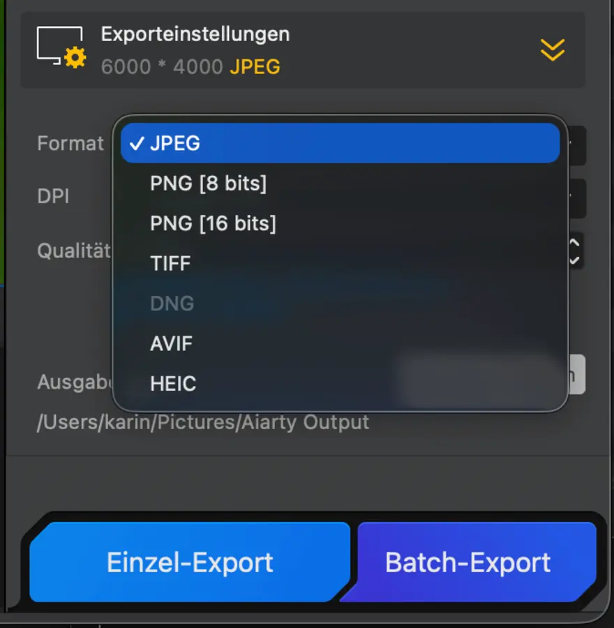 Export Möglichkeiten von Aiarty Image Enhancer