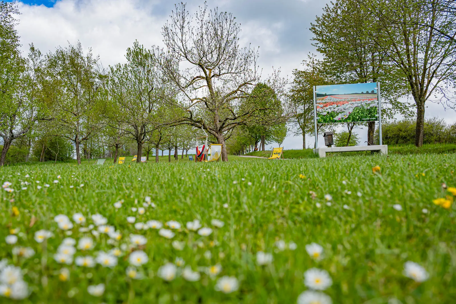 Liegewiese im Obstgarten in Armschlag