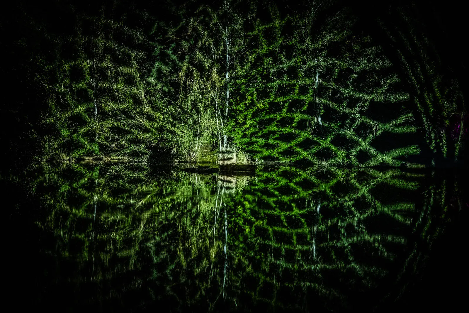 Lichtprojektion beim Blockheide leuchtet Festival