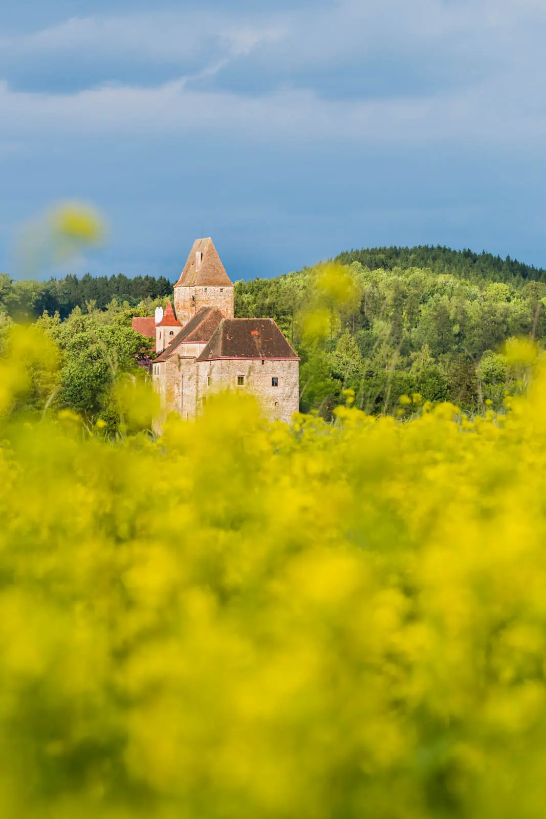 Burg Rastenberg