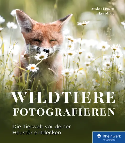 Buchcover Wildtiere fotografieren